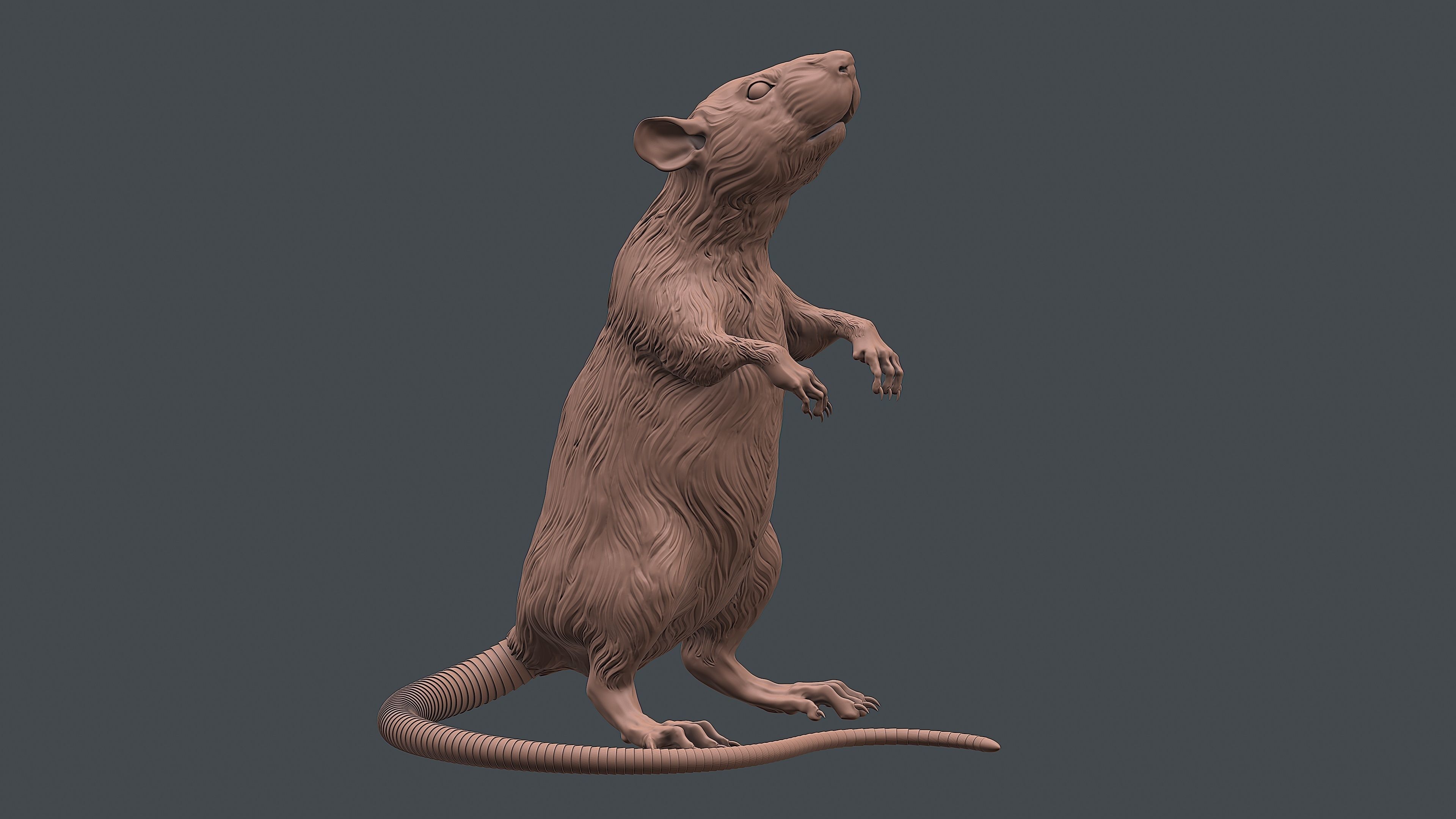 Rat sculpture 3D print model_3