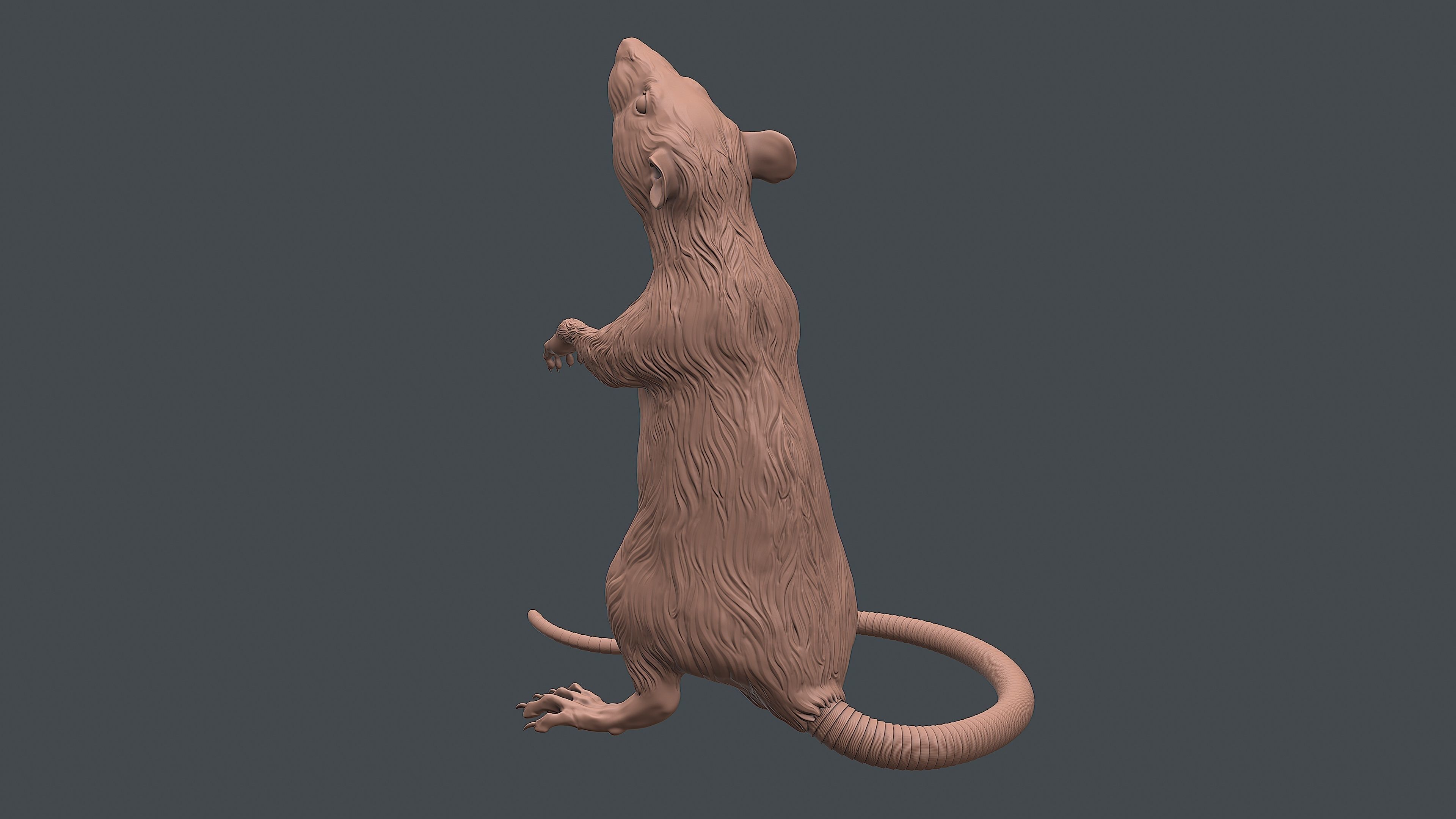 Rat sculpture 3D print model_4