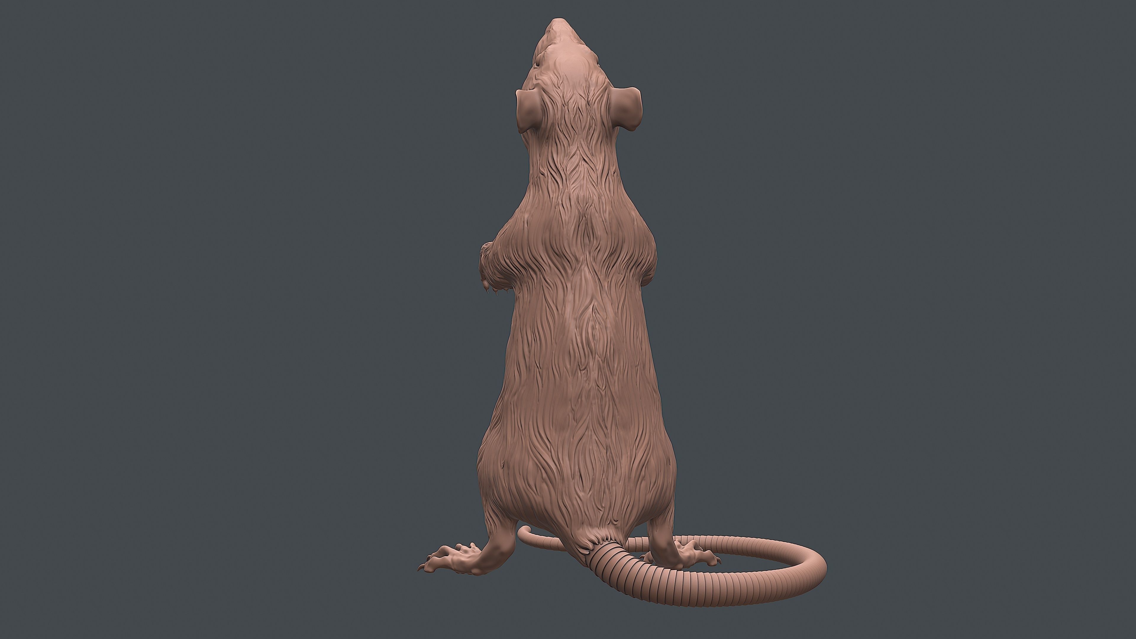 Rat sculpture 3D print model_5