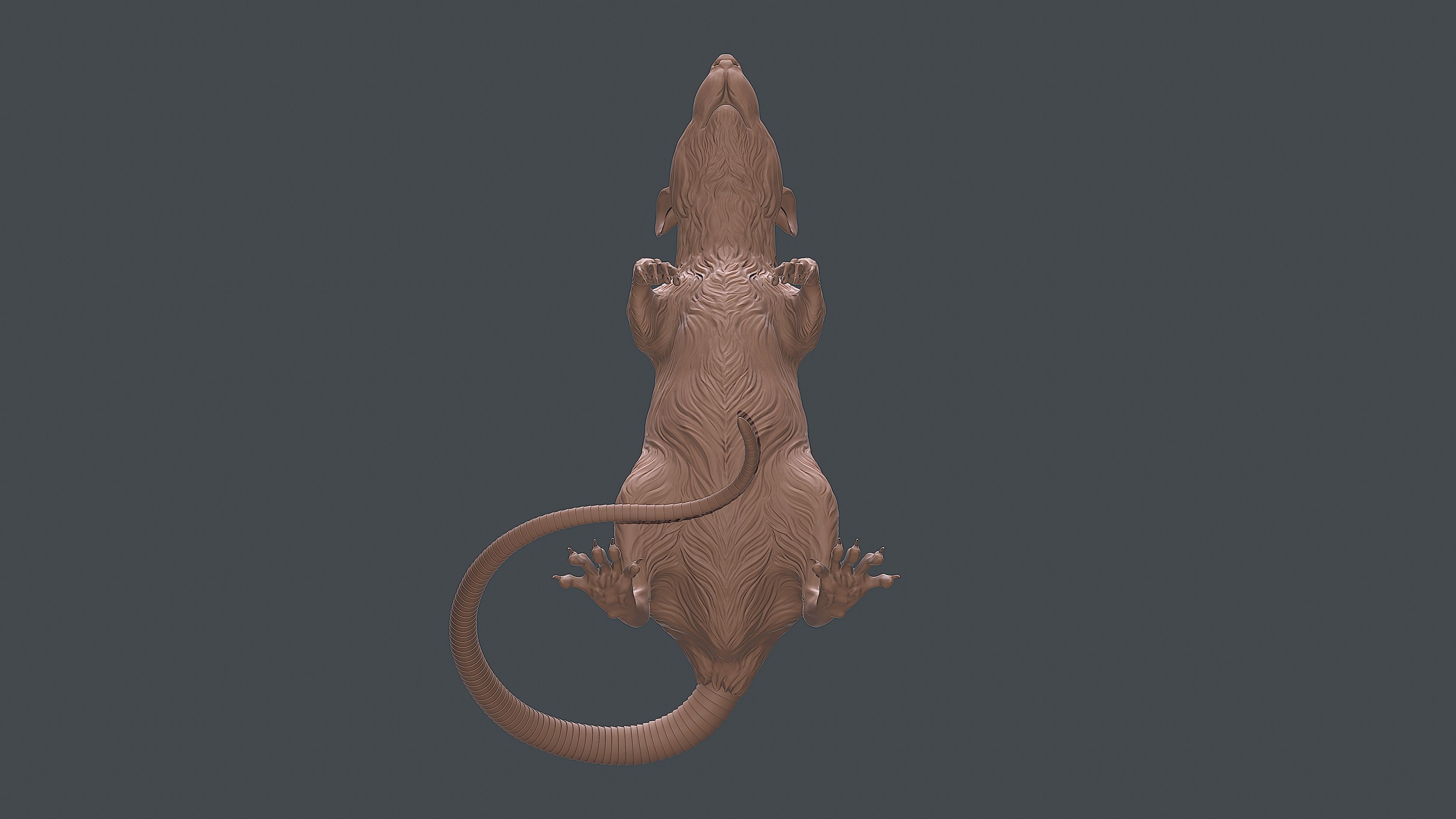 Rat sculpture 3D print model_7