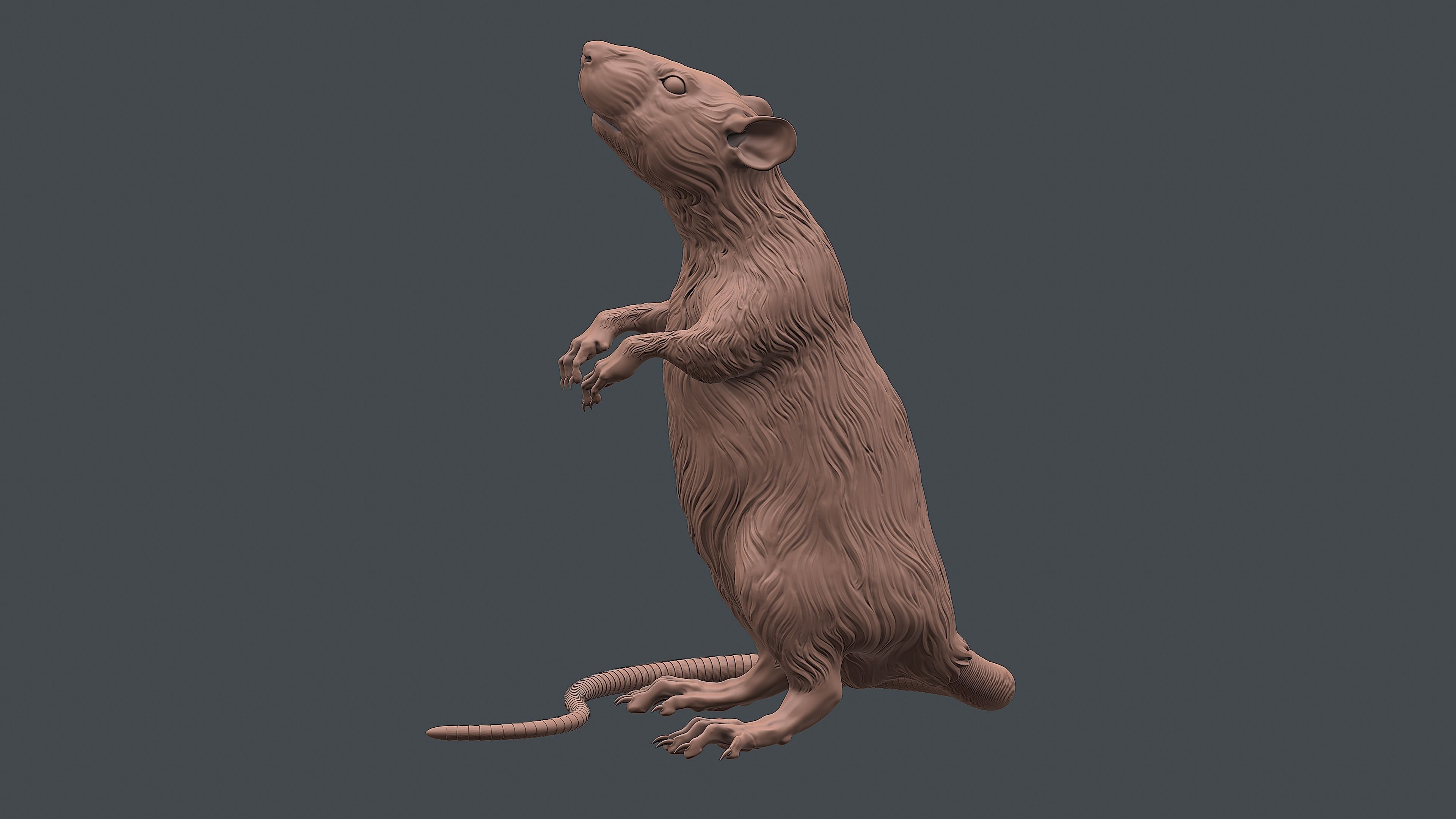 Rat sculpture 3D print model_1
