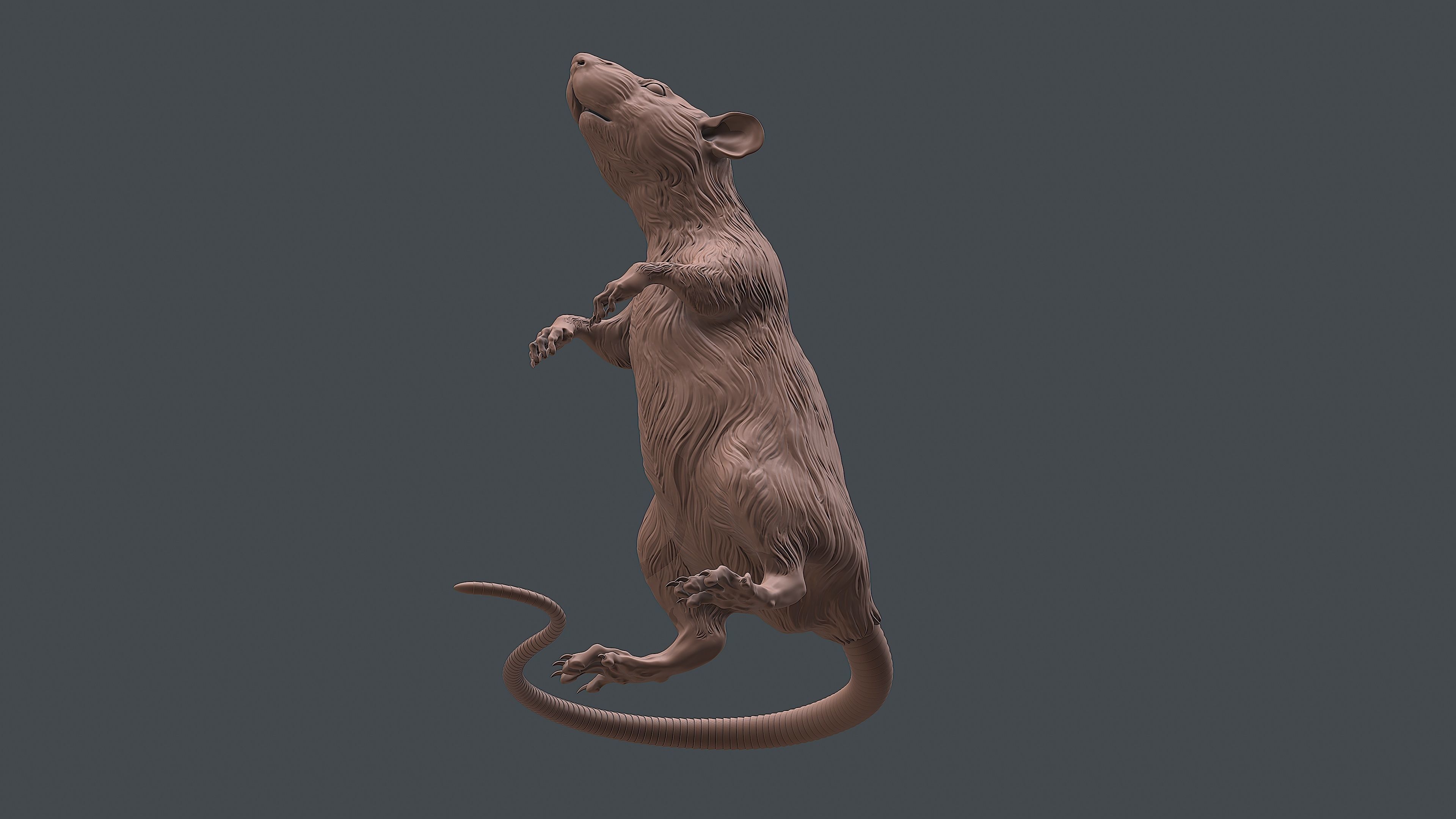 Rat sculpture 3D print model_8