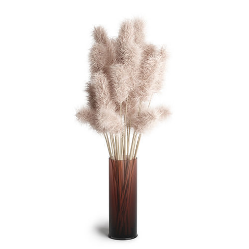 Pampas grass decor 3D model