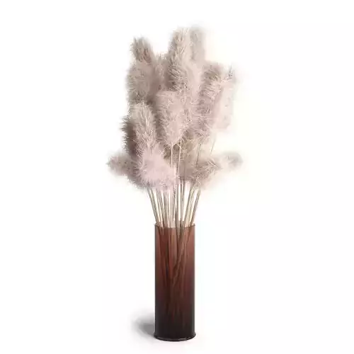 Pampas grass decor 3D model