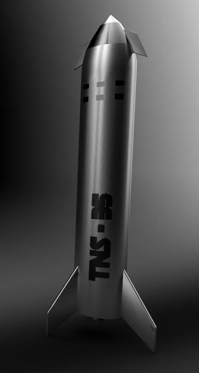 Starship with the textures 3D model_0