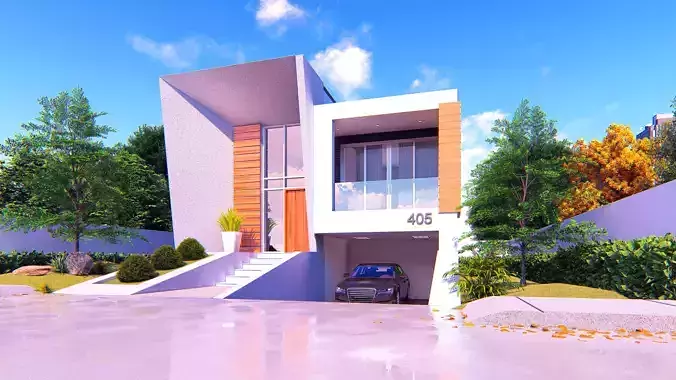 Modern House