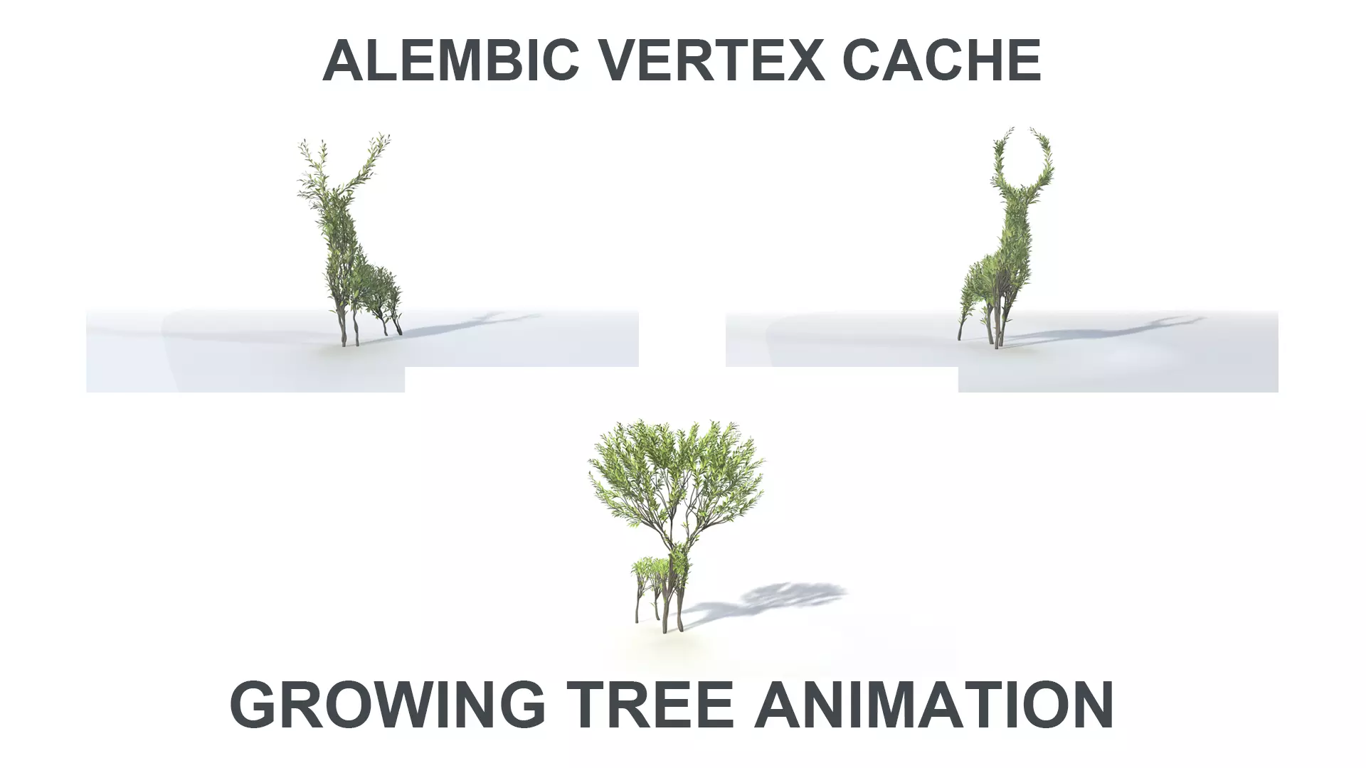 Growing Tree in a shape of a deer 3D Model Collection_0