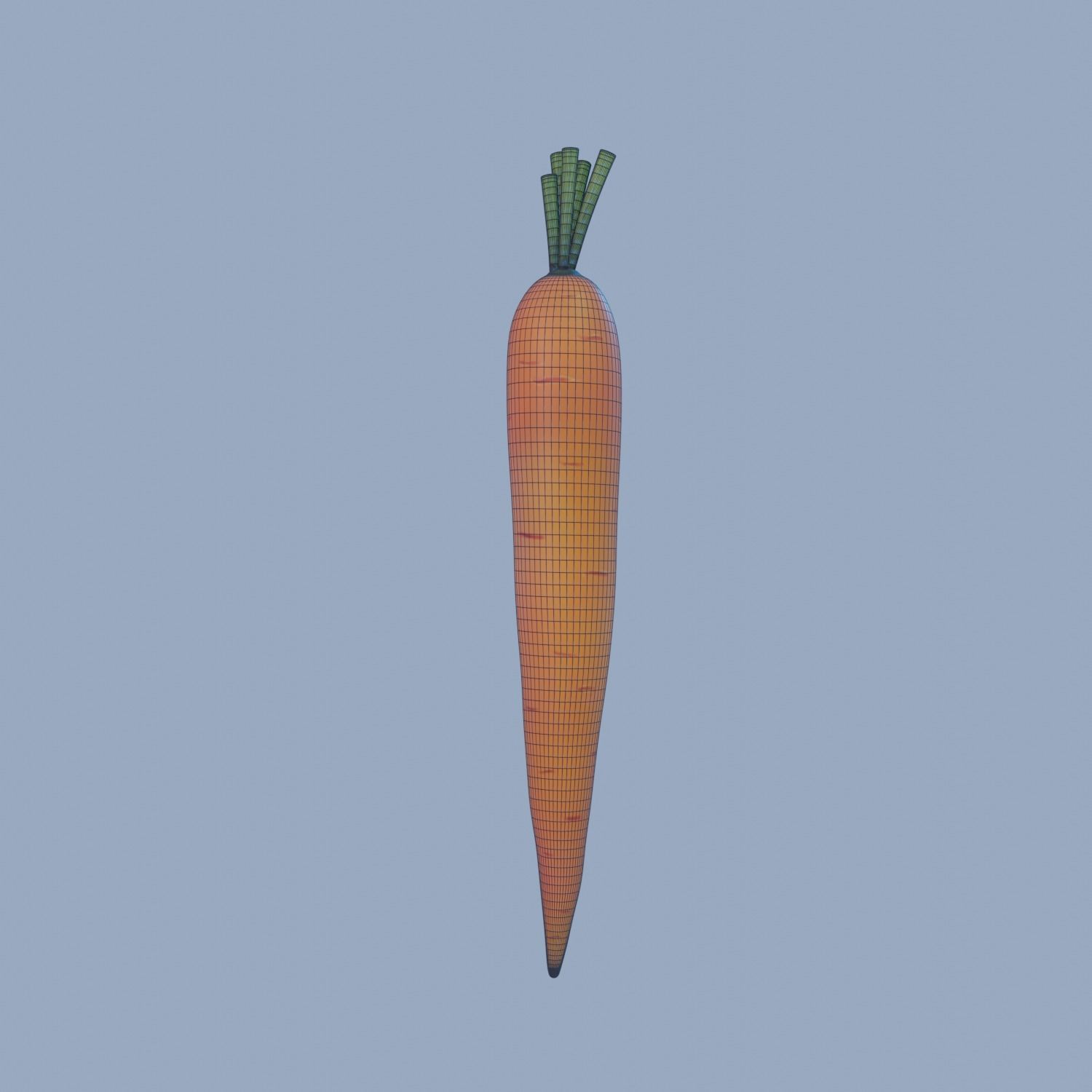 Carrot 3D model_6
