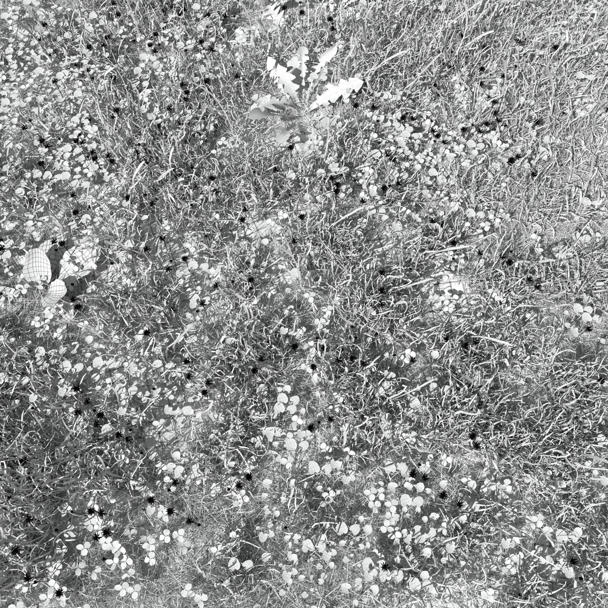 Ryegrass Meadow Patch 3D model_5