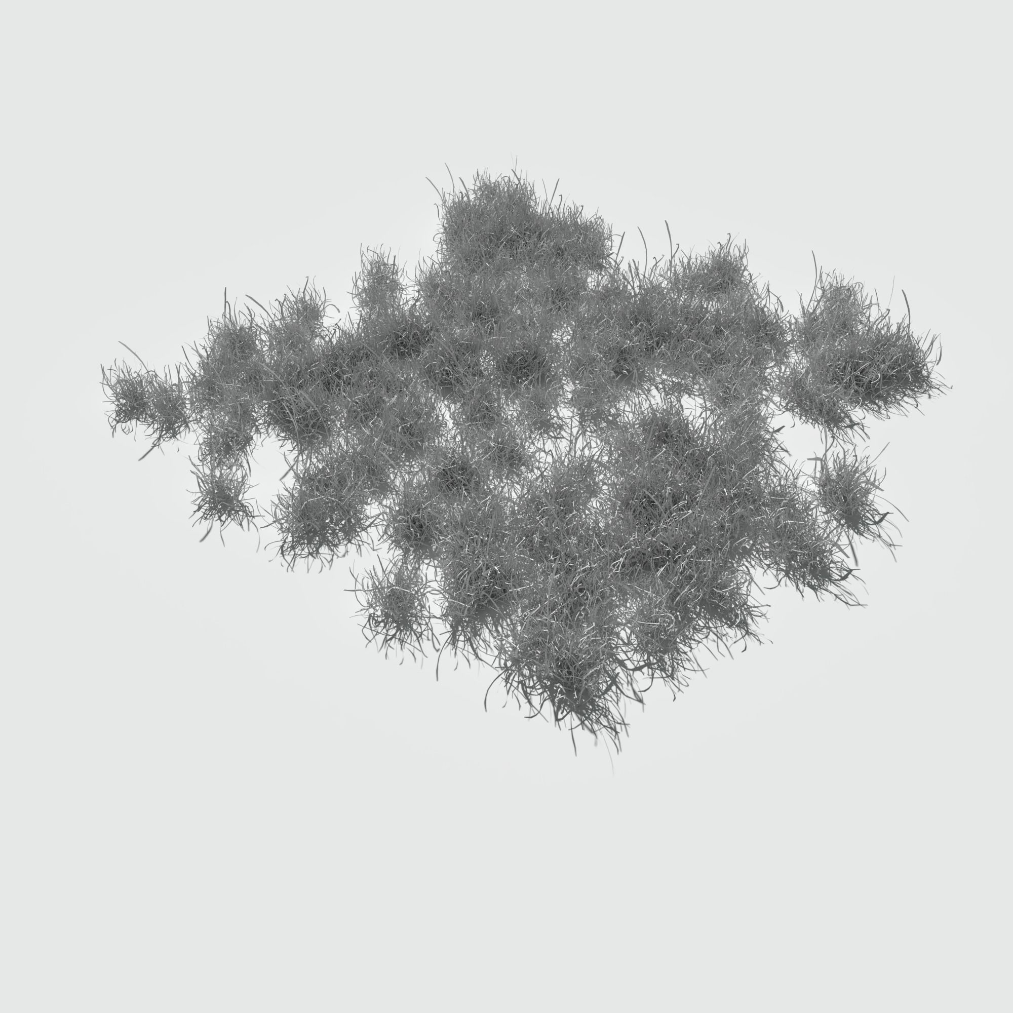 Ryegrass Meadow Patch 3D model_17