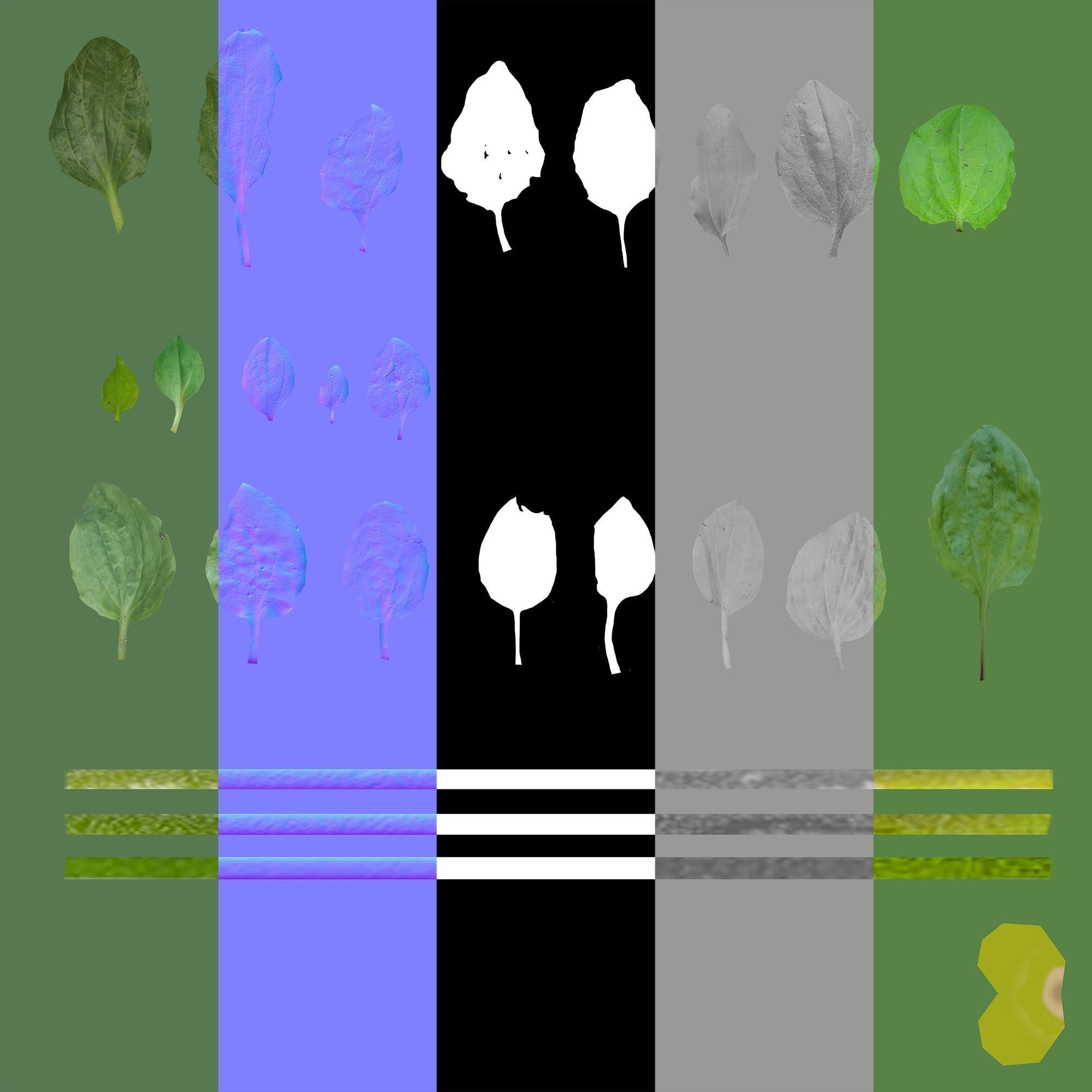 Ryegrass Meadow Patch 3D model_26