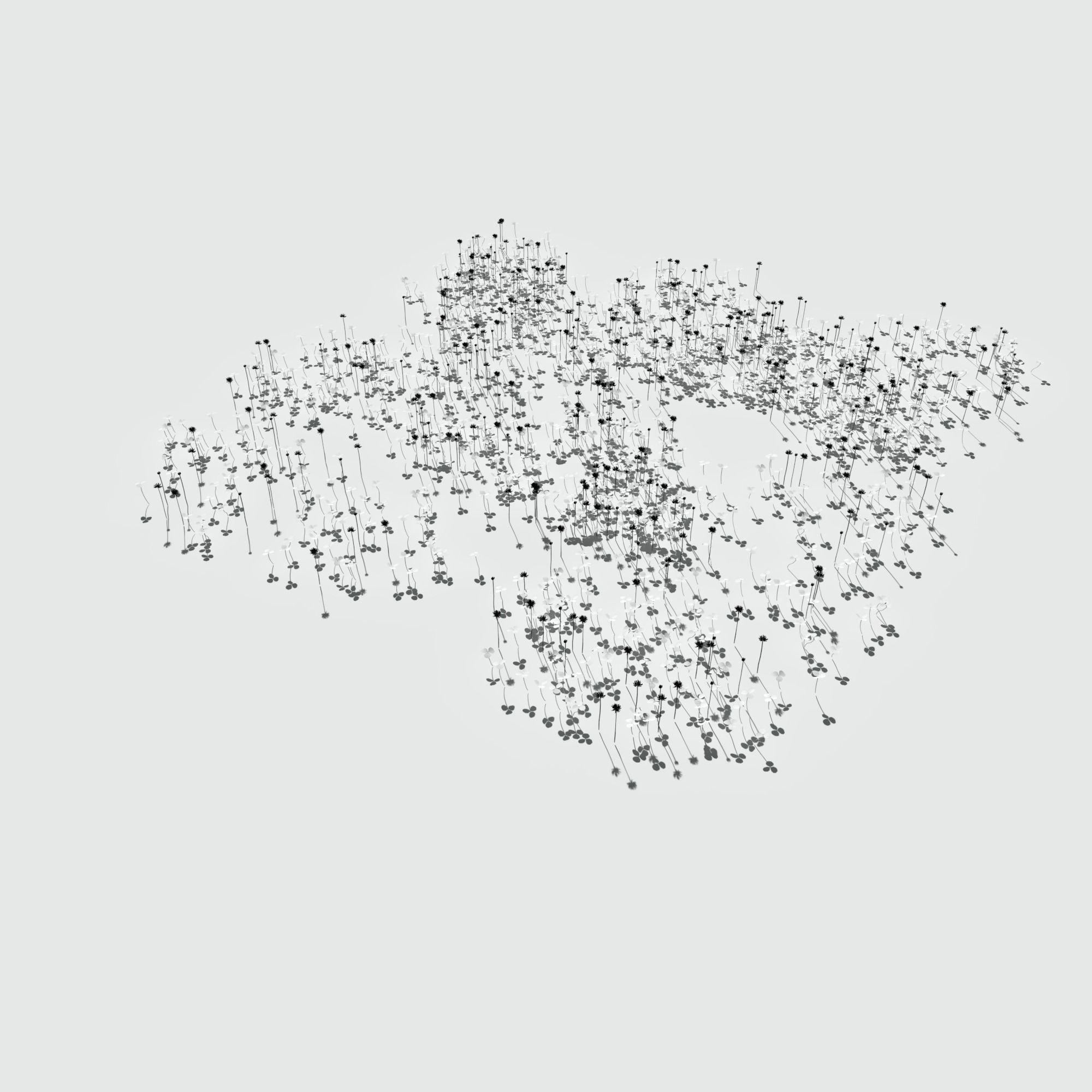 Ryegrass Meadow Patch 3D model_9