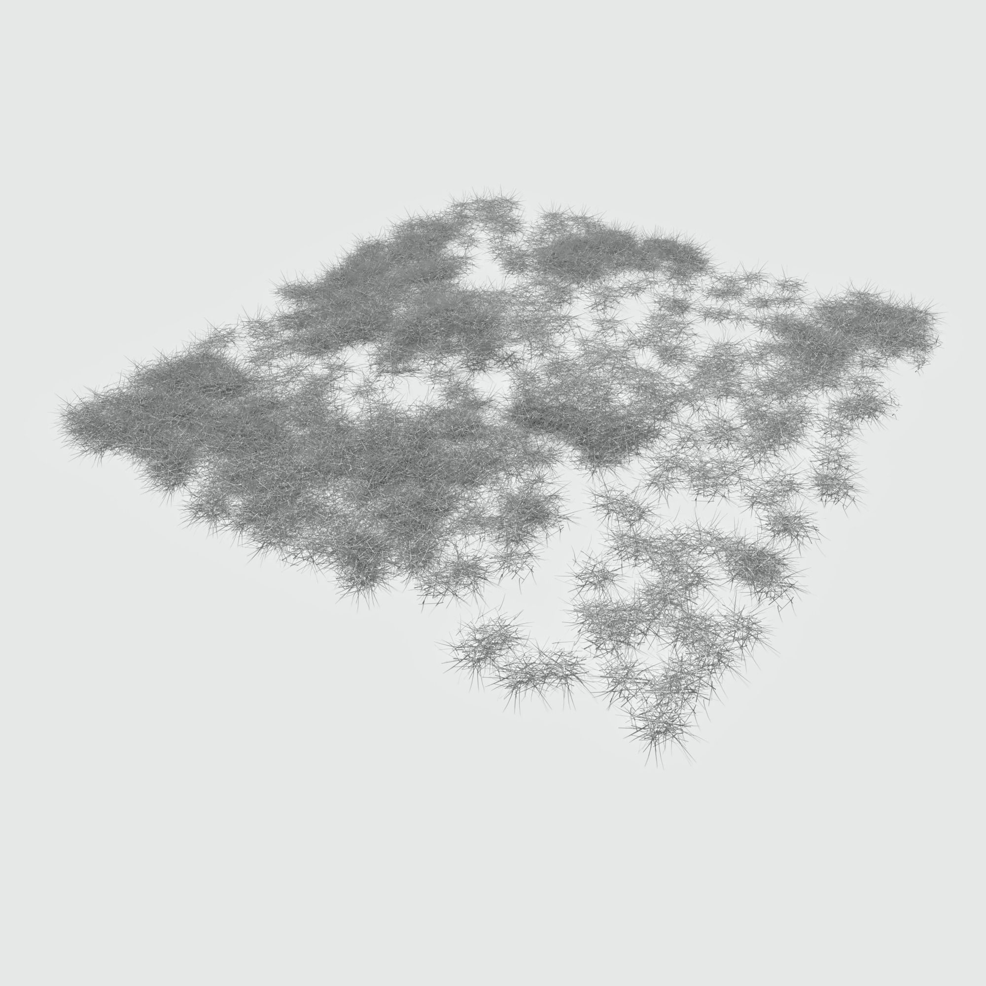 Ryegrass Meadow Patch 3D model_13