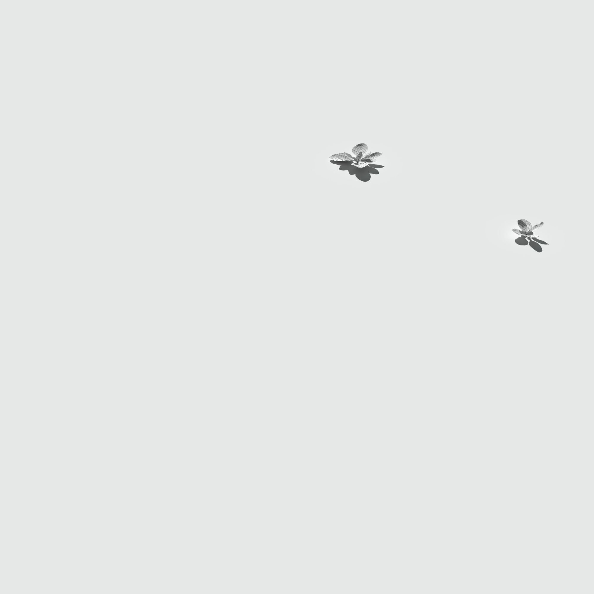 Ryegrass Meadow Patch 3D model_19