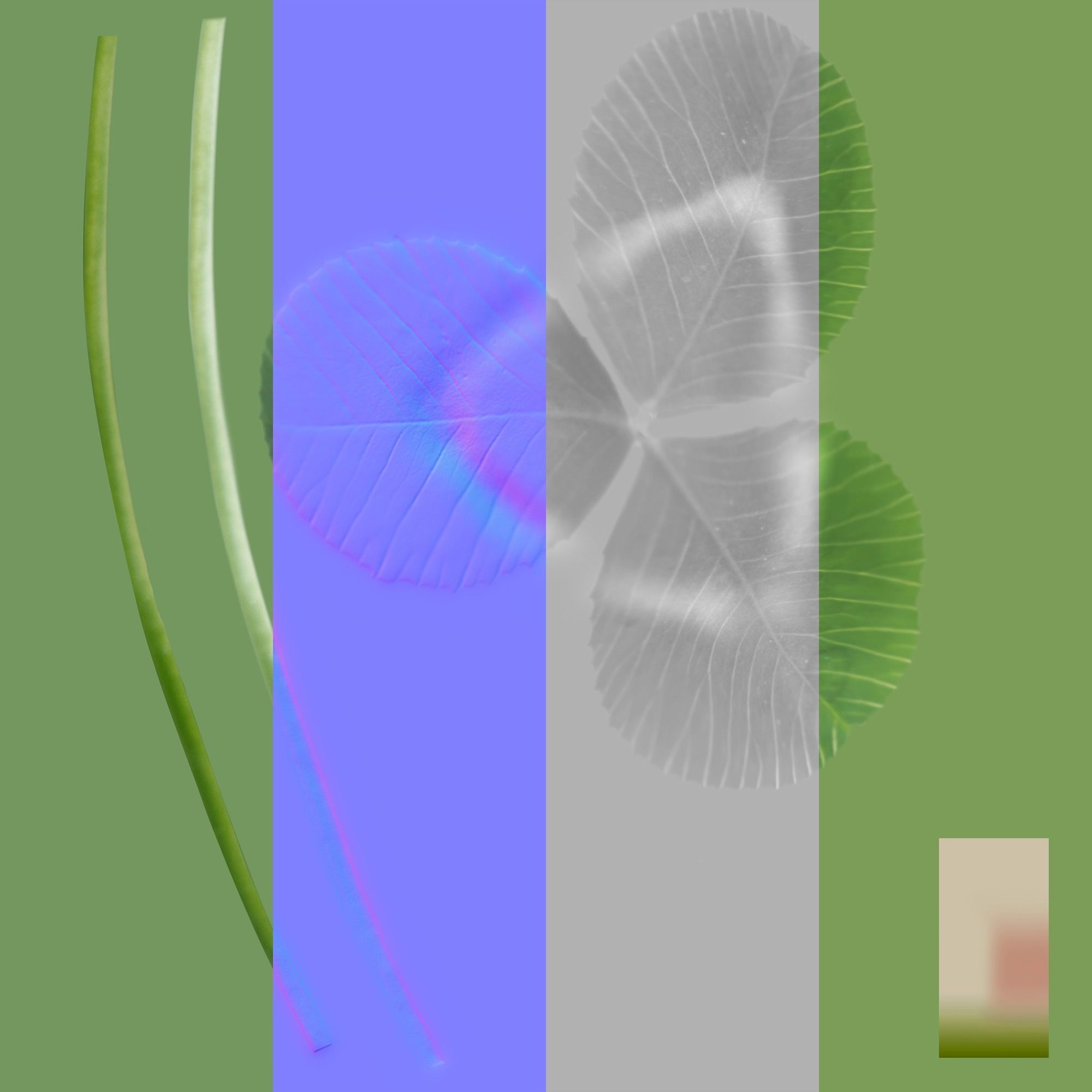 Ryegrass Meadow Patch 3D model_20