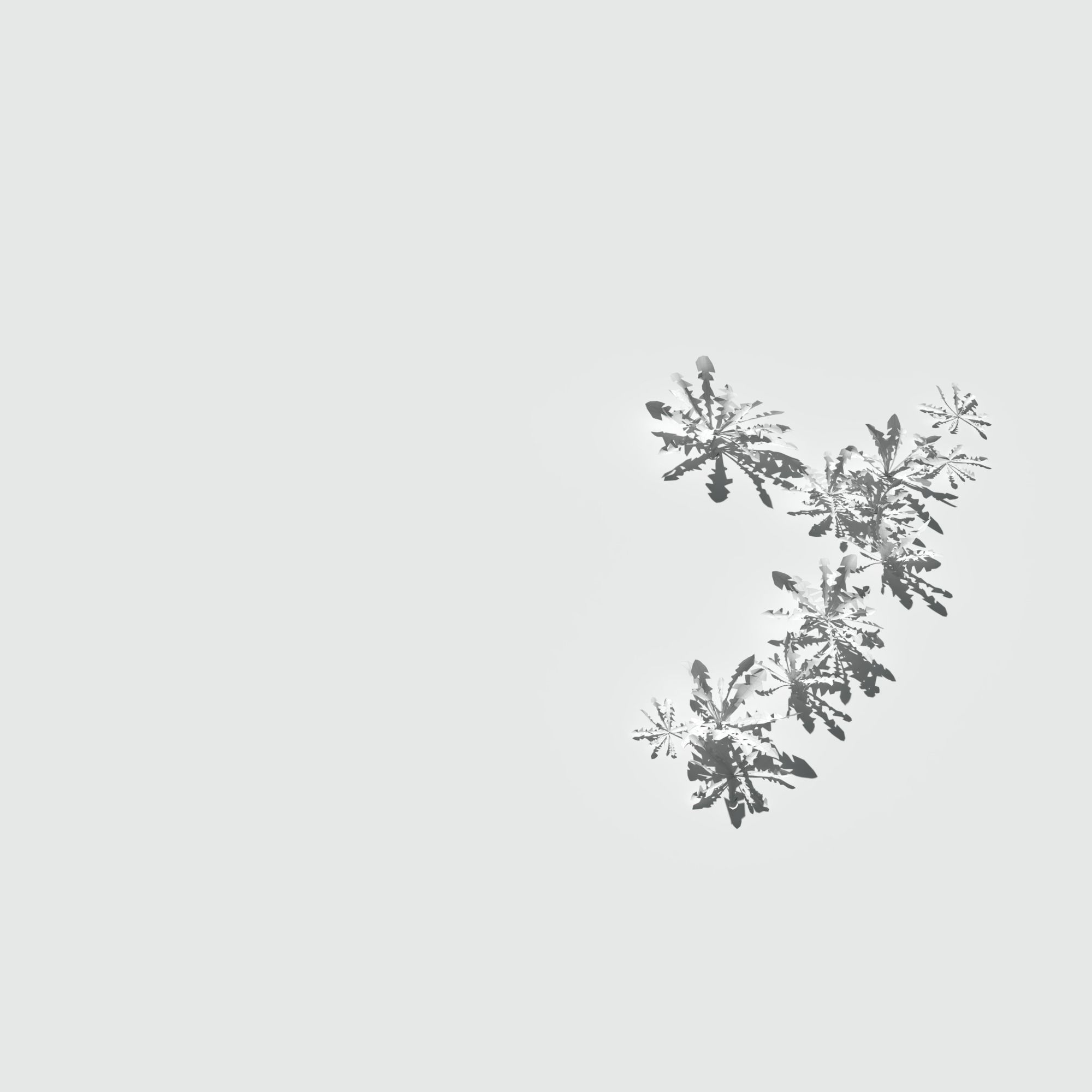 Ryegrass Meadow Patch 3D model_11