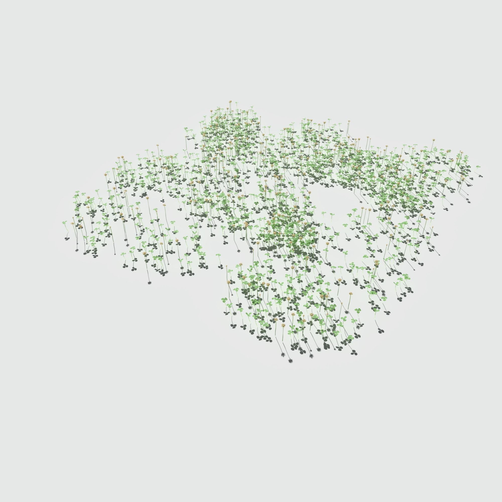 Ryegrass Meadow Patch 3D model_8