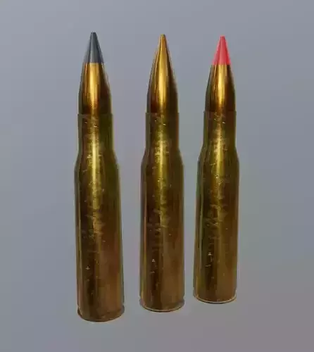 50 cal Bullets and Cartridge 