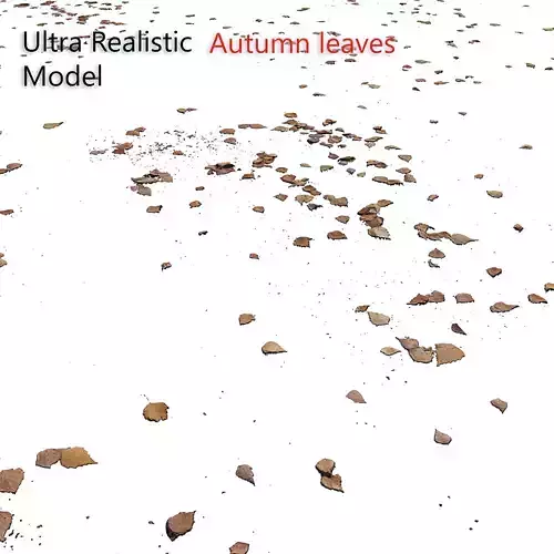 Autumn leaves Decal scan