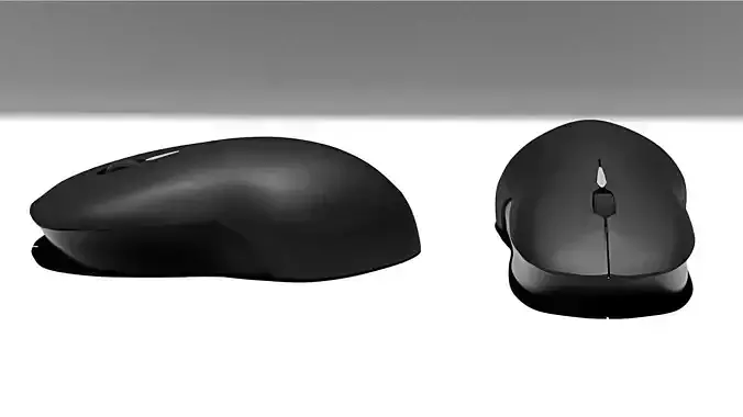 Mouse two wireless mice