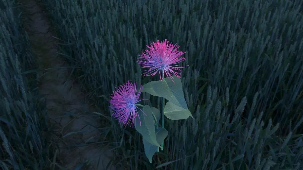 Albizia flower 3D model_0