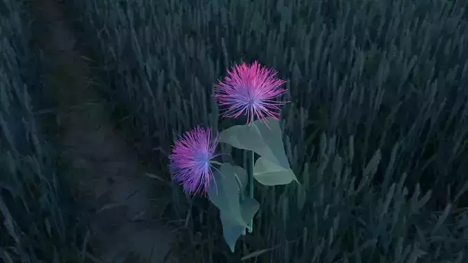 Albizia flower 3D model