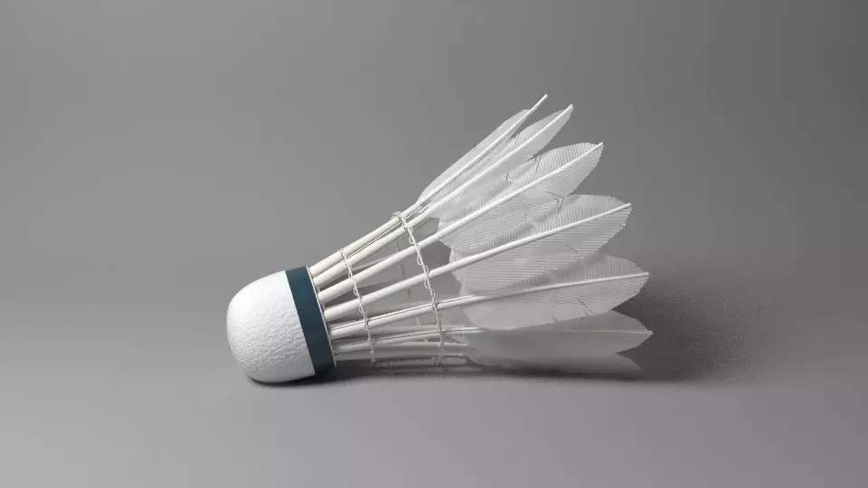 Shuttlecock badminton Low-poly 3D model_0