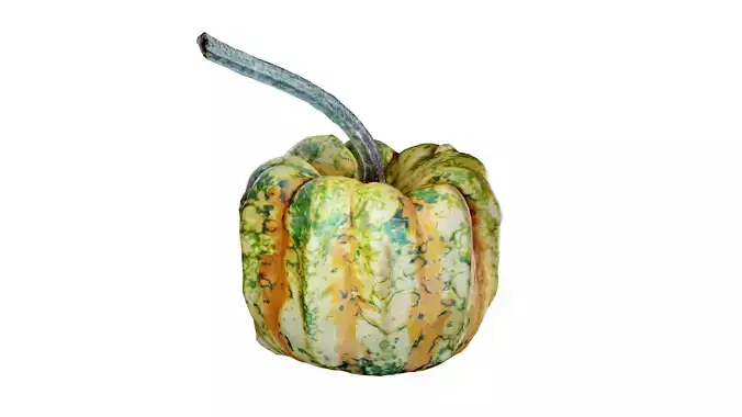 Decorative Gourd 3D model