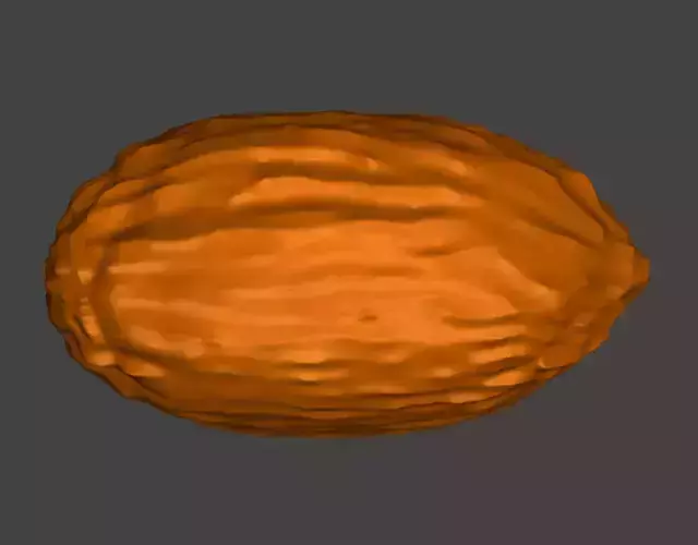 cacao bean model 3D print model
