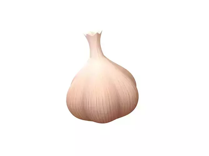 Garlic bulb