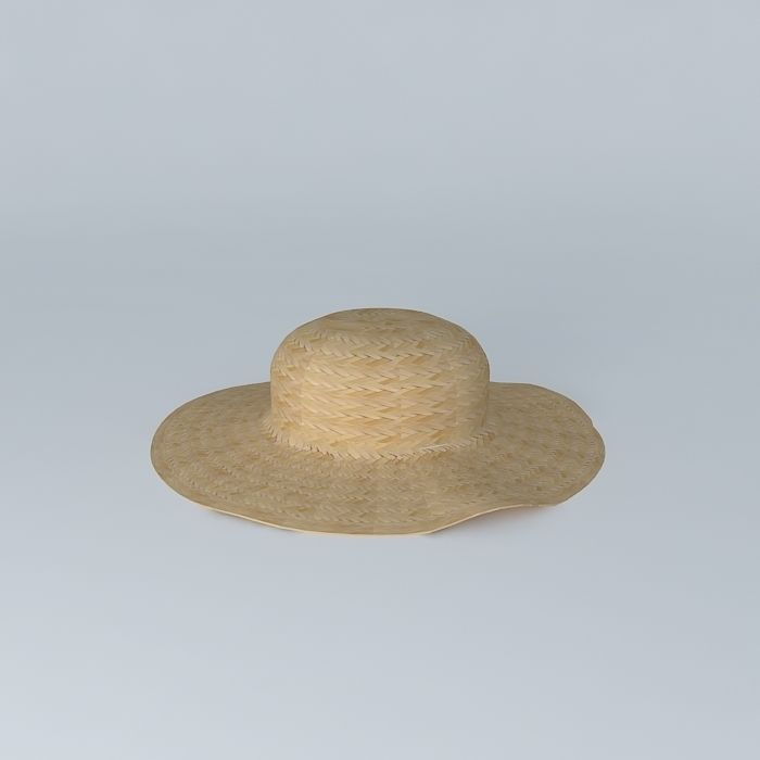 Straw hat Free 3D model_2