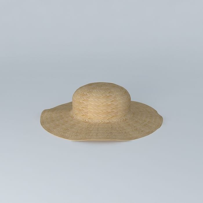 Straw hat Free 3D model_1