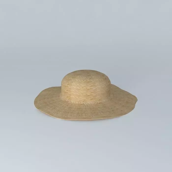 Straw hat Free 3D model_0