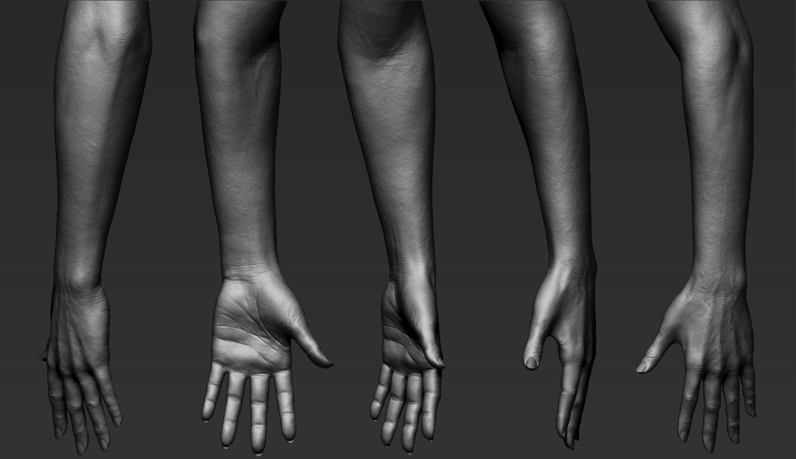 Female Hand Realistic 3D model_4