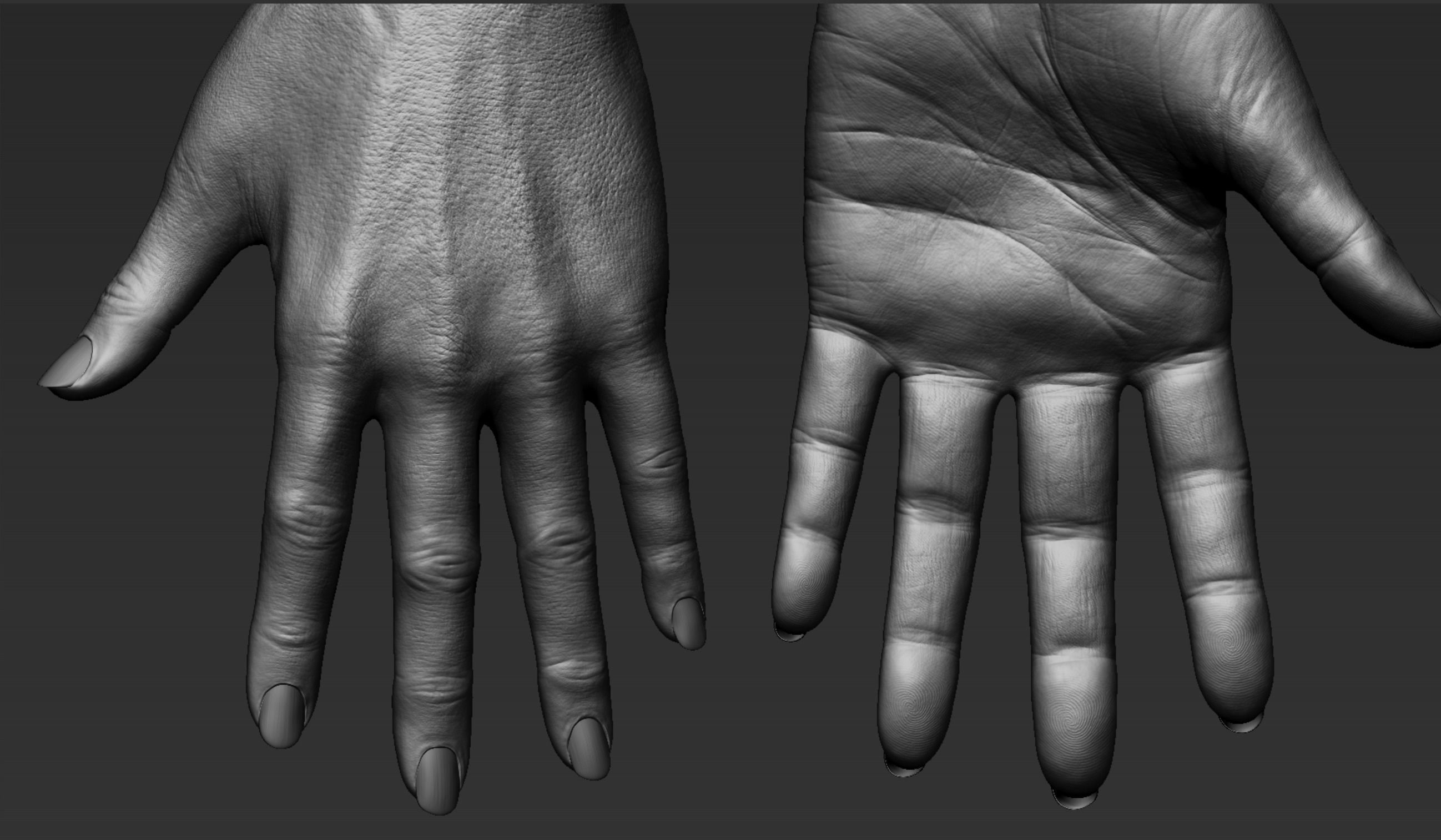 Female Hand Realistic 3D model_5
