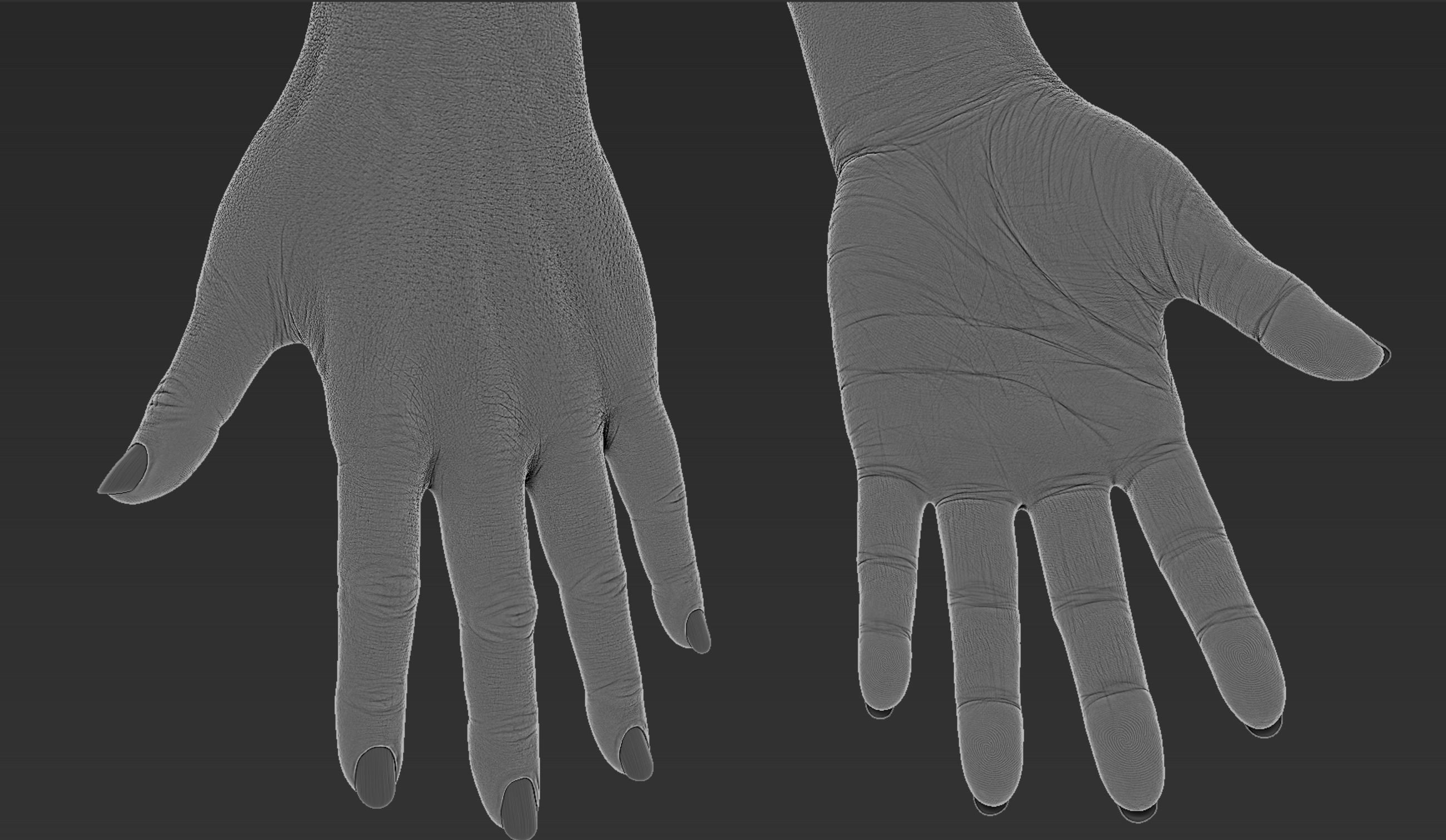 Female Hand Realistic 3D model_10