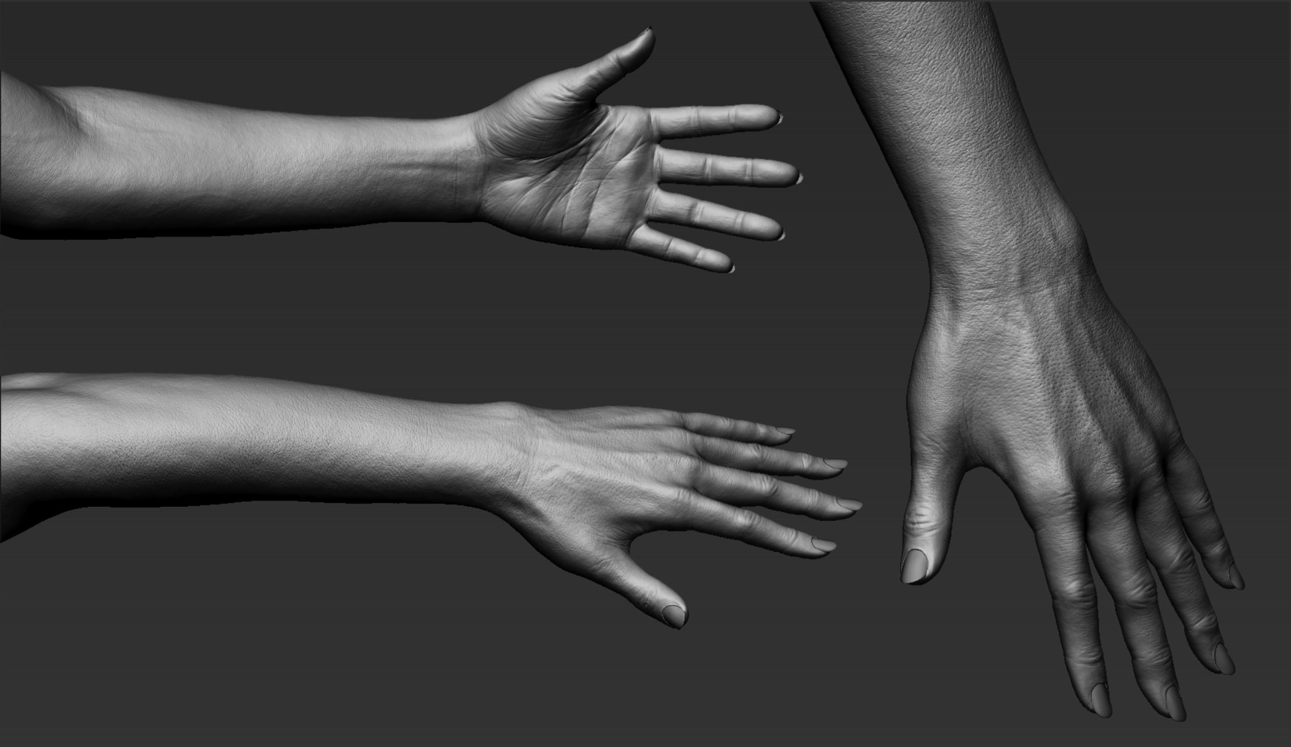 Female Hand Realistic 3D model_3