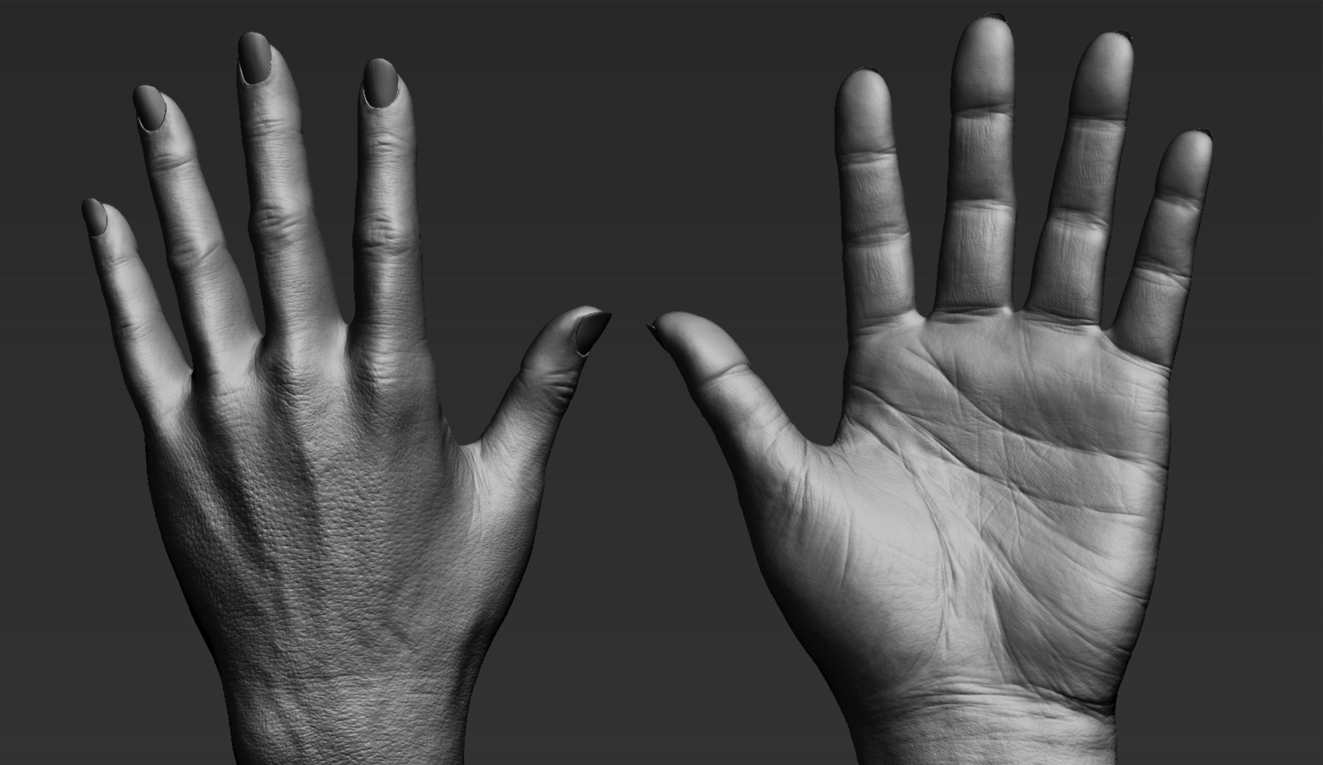 Female Hand Realistic 3D model_7