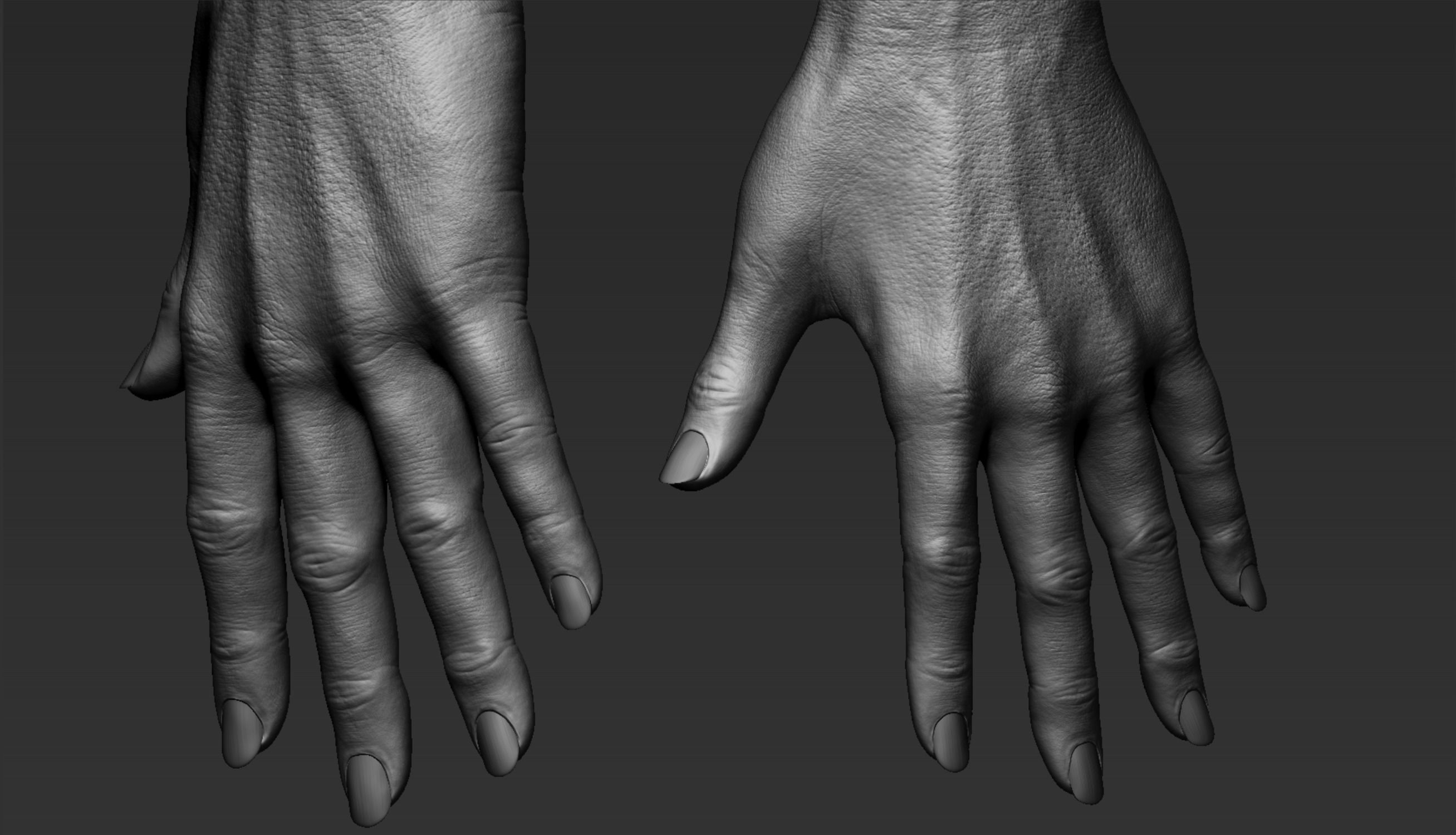 Female Hand Realistic 3D model_6