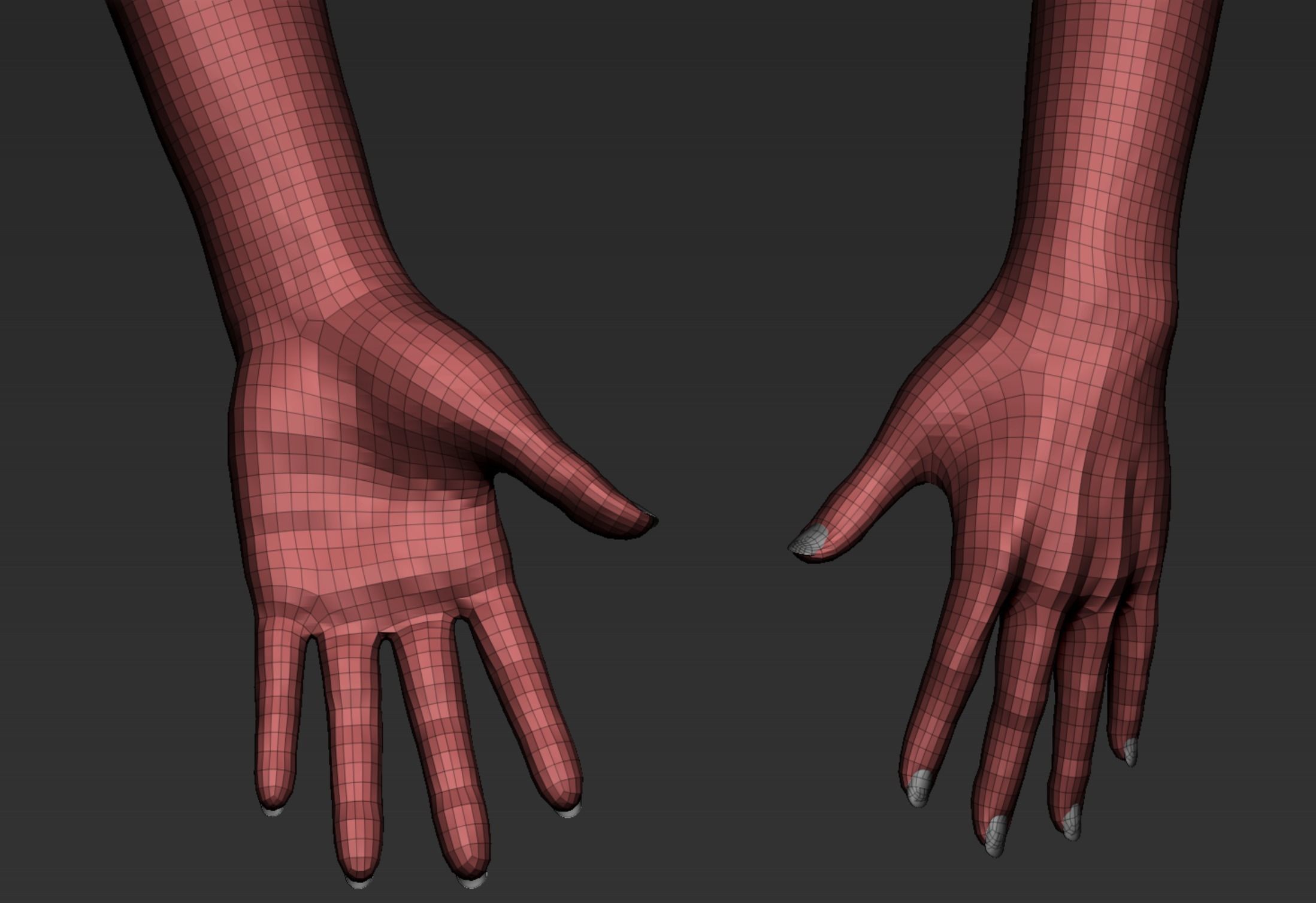 Female Hand Realistic 3D model_9
