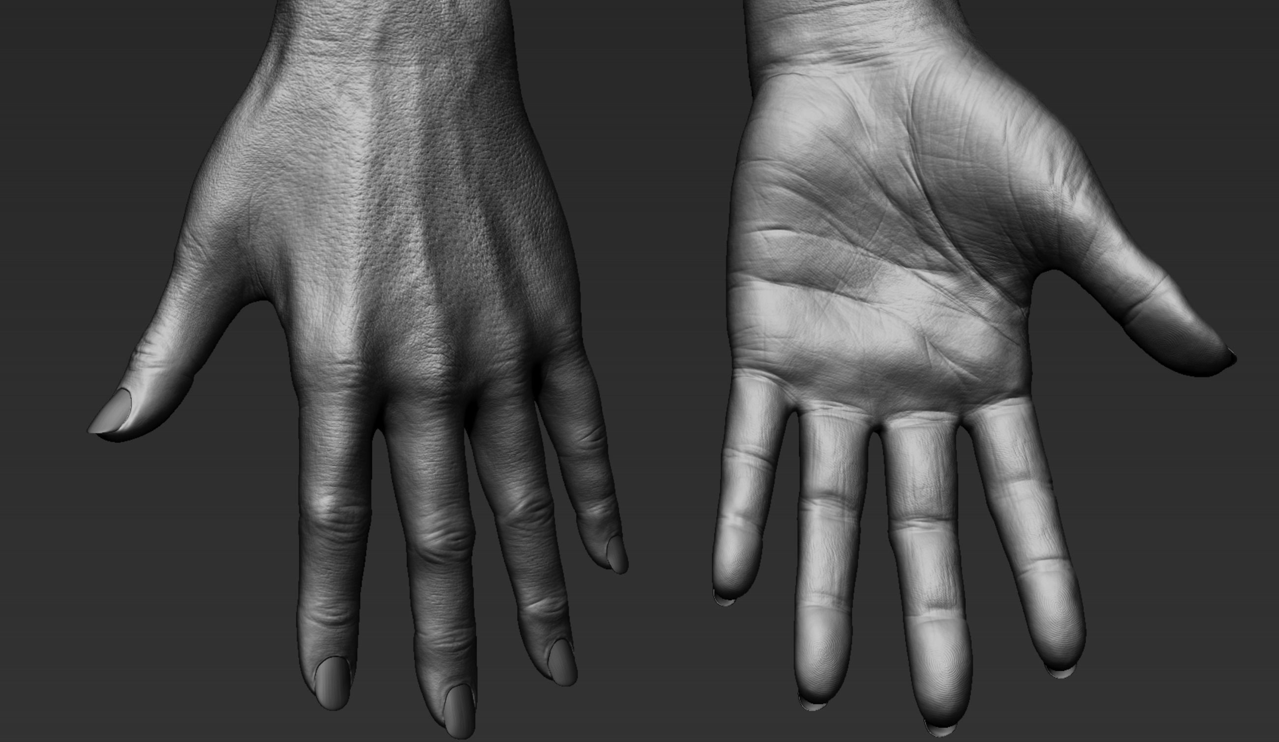 Female Hand Realistic 3D model_2