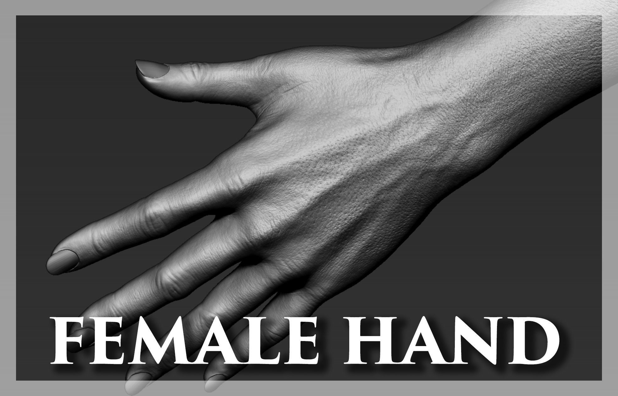 Female Hand Realistic 3D model_0