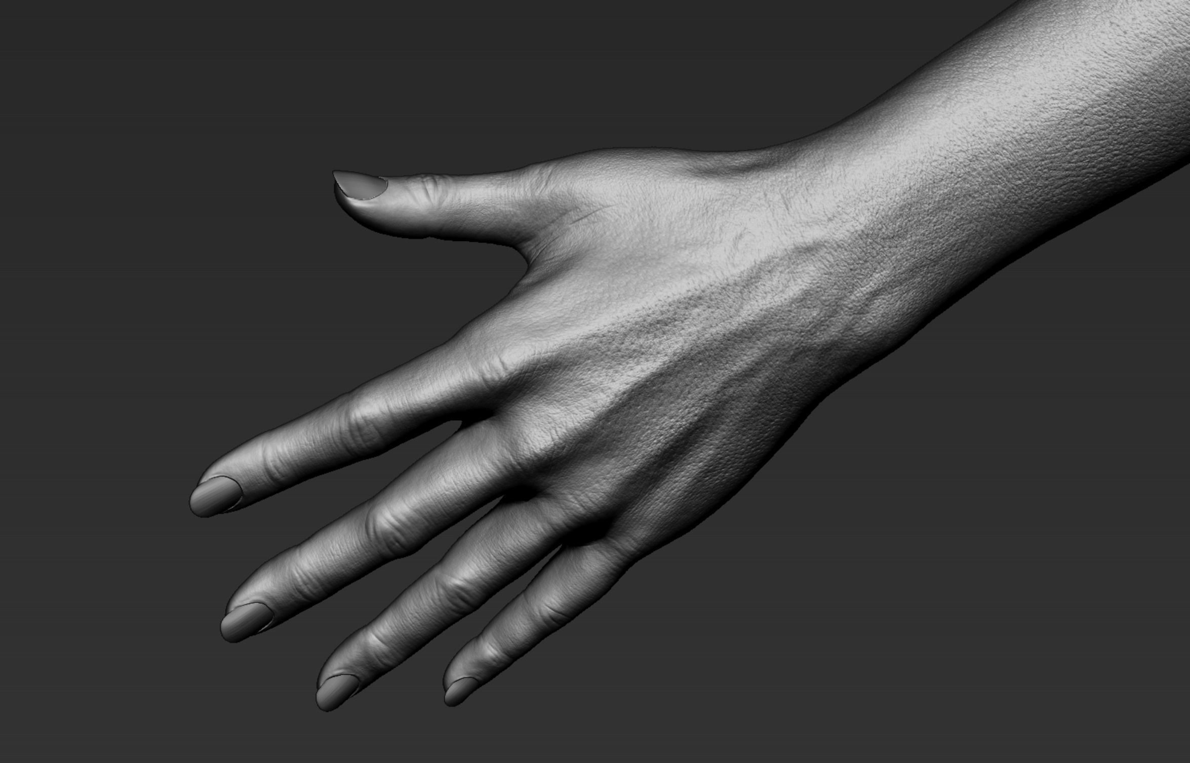 Female Hand Realistic 3D model_8