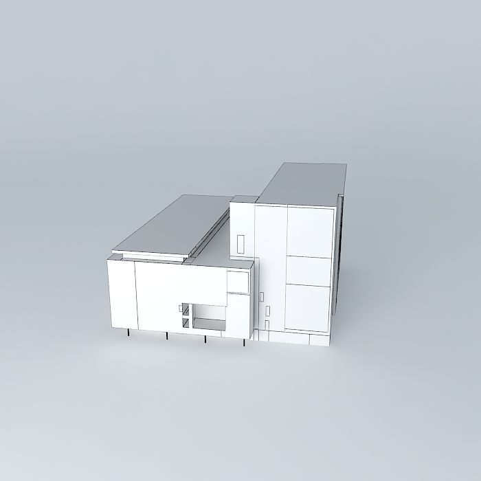 Full Piet Hein Free 3D model_4