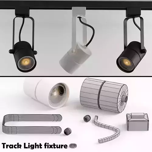 Track Light Fixtures