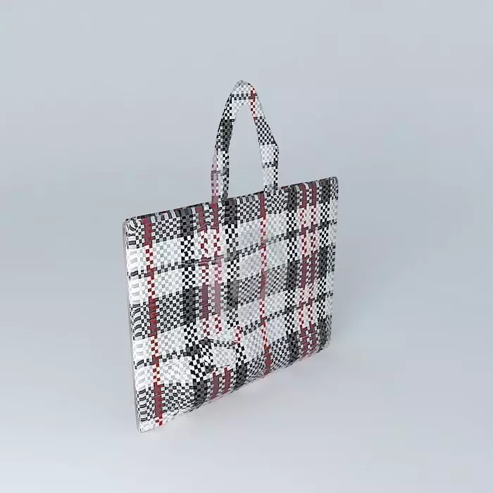Fair bag Free 3D model_0