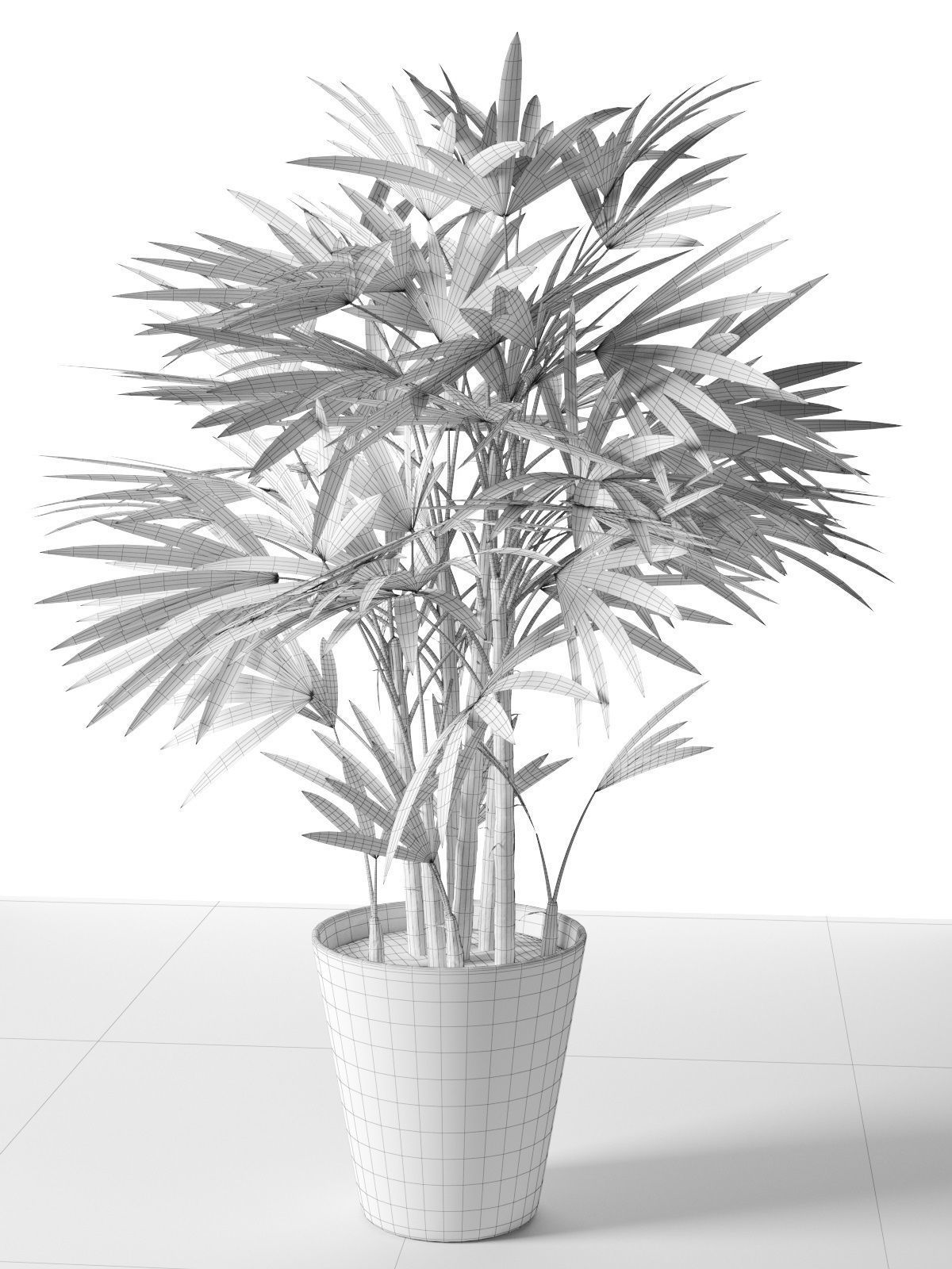 Rhapis Excelsa in Pot 3D model_3