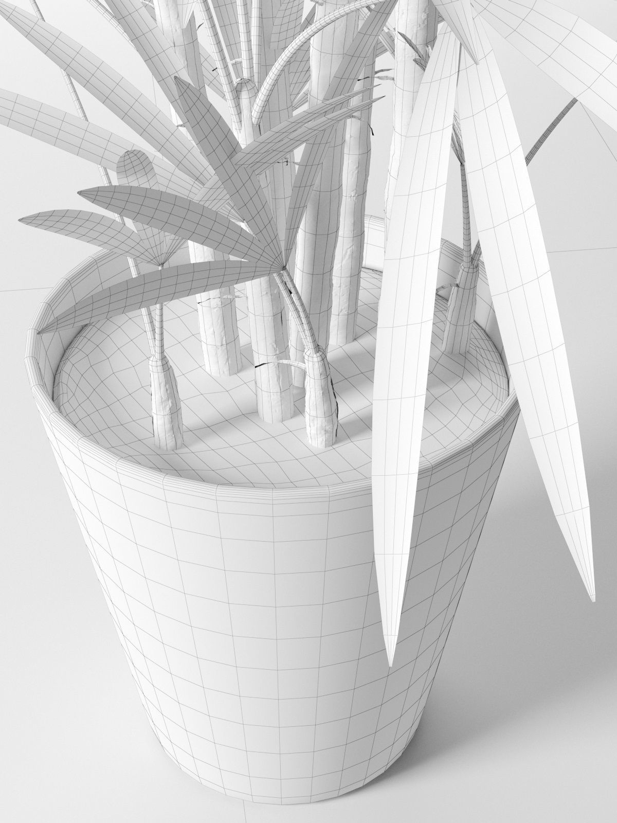 Rhapis Excelsa in Pot 3D model_4