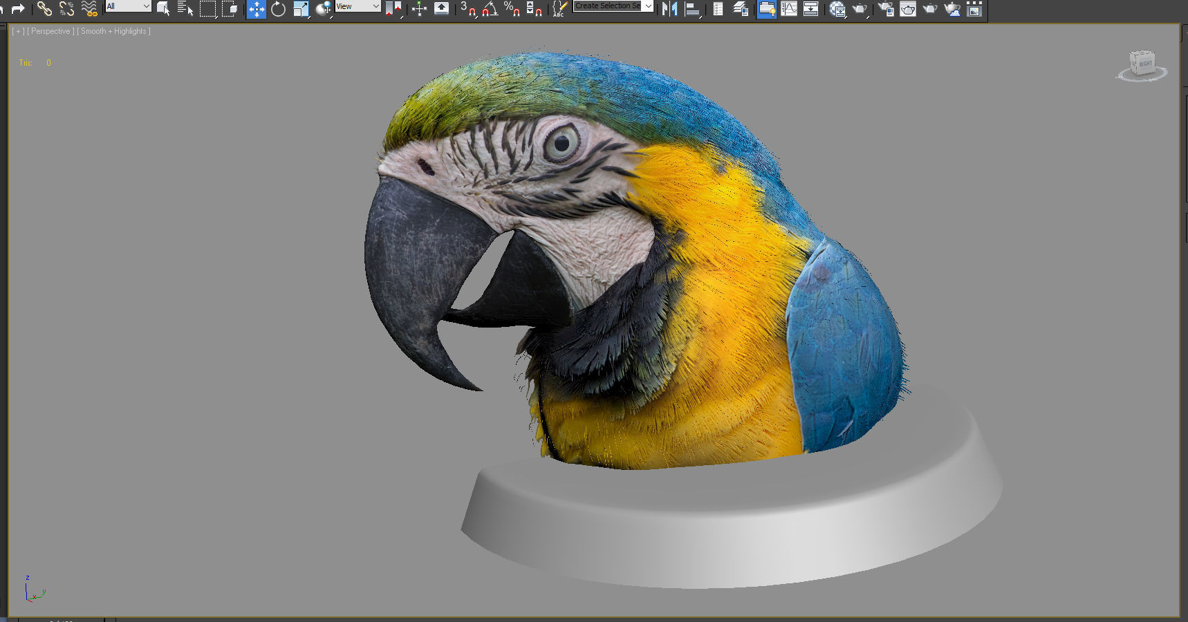 Macaw colorful New World parrots 3D model_1