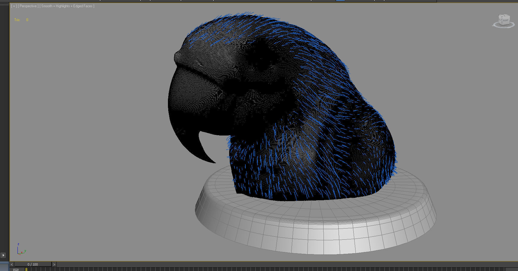 Macaw colorful New World parrots 3D model_6